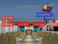 人民法院办理刑事案件第一审普通程序法庭调查规程（试行）